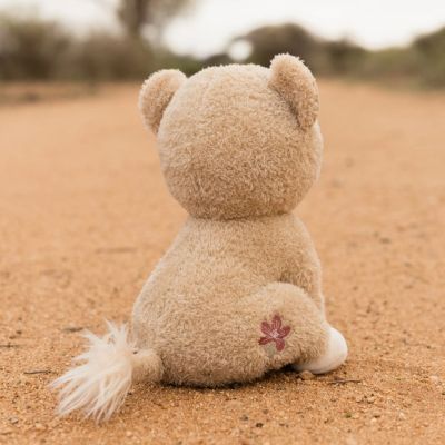 Little Dutch Safari Friends Knuffel Leeuwin - 17 cm 