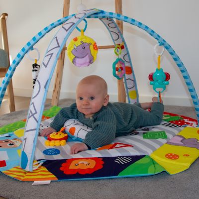 Bo Jungle Tropical Discovery Foldable Ball Pit Play Gym