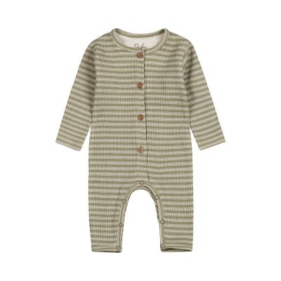 Dirkje Boxpak Light Faded Green 50