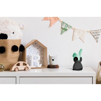 Alecto Smartbaby10BK Babyfoon Wifi Met Camera Zwart