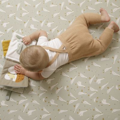Little Dutch Activiteitenboekje Little Goose