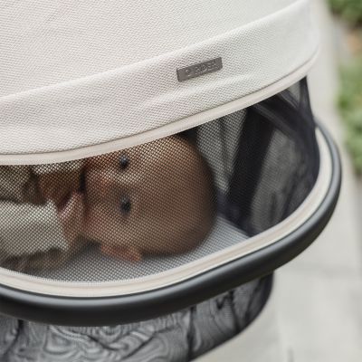 Qute Q-Rider Plus Kinderwagen - Mineral Clay | Kidsriver Curve Autostoel - Clay | Kidsriver Isofix Base Qute Q-Rider Plus Kinderwagen - Mineral Clay | Kidsriver Curve Autostoel - Clay | Kidsriver Isofix Base