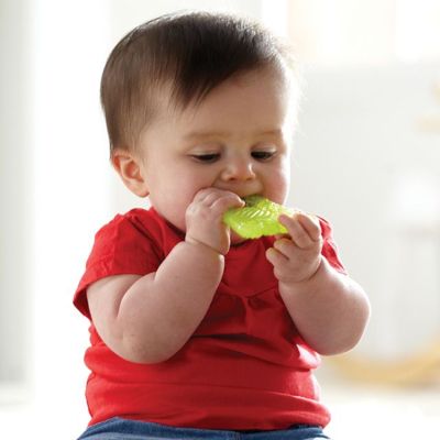 Munchkin Fun Ice Chewer
