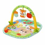 Chicco Playgym Activity 3 in 1